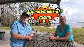 Where To Next Meeting Friends Soon NO SHRIMP WHISKERS THIS TIME