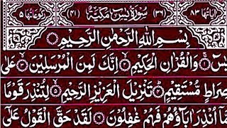 Surah Yaseen Surah Rahman || Best Qur'an Tilawat || Surah Yasin Qur'an Recitation ||Yaseen Sharif