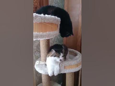 Любимая моя 🥰♥️ - YouTube