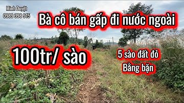 Lô 152| đất rẻ Dak Nông, bà cô bán vườn để đi nước ngoài chỉ 100tr/ Sào 5 sào đất đỏ 3 zan. 