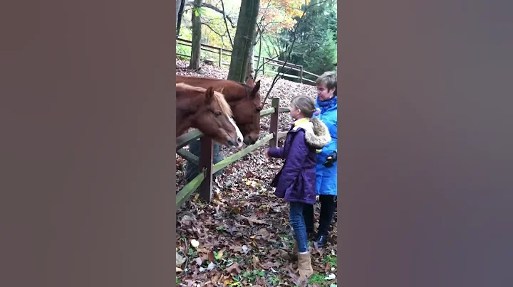 Shann & Lillian feed horses