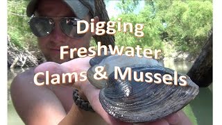 How To Find Freshwater Clams And Mussels
