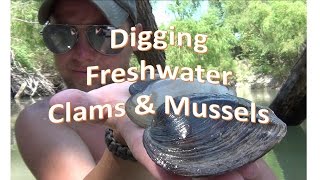 How to Find Freshwater Clams and Mussels