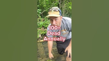 How We can SAVE Lives in "GATING" Guardrail Crashes