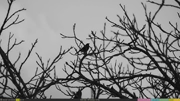 i3 Vim-like marks example usage