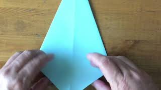SD38 Math at Home Origami Bird