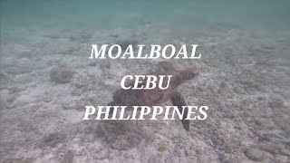 maoboal, cebu, philippines 🇵🇭