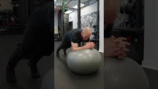 Exercise Ball Stir-The-Pot