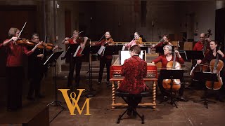 Miniatura de vídeo de "Bach: Brandenburg Concerto No. 3 in G Major BWV 1048, complete, Voices of Music 4K UHD video"