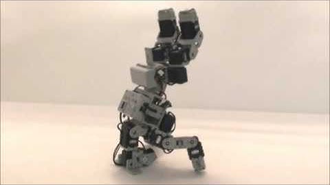 Gilbo & Robotis - Bioloid Premium Kit - Oyuncu Köpek www.robotsepeti.com www.gilbo.com.tr