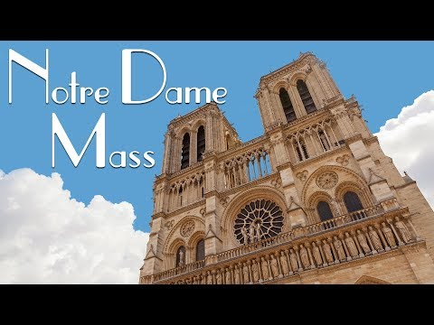 Video: Notre Damen katedraali Pariisissa: tiedot vierailijoille