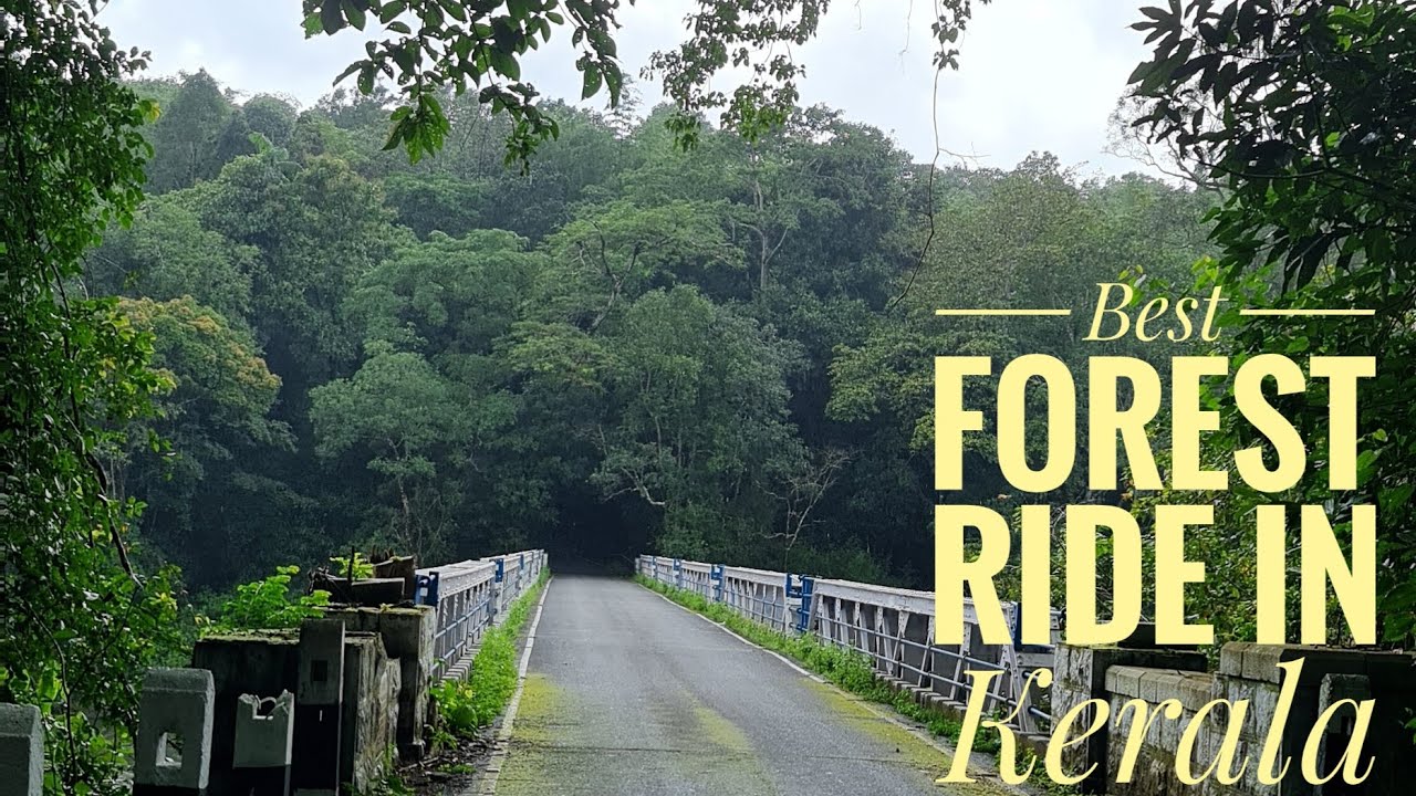 BEST FOREST RIDE IN KERALA | ATHIRAPILLY VAAZHACHAAL MALAKKAPPARA