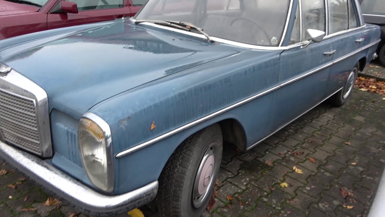 Schairer-Klassiker | Farbenvielfalt