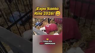 ¡Expo Santa Rita 2026 😃 | Así se Vive el EVENTO más Grande! 😃, Parte 10