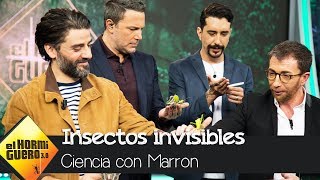 Ben Affleck y Oscar Isaac rodeados de insectos 'invisibles' - El Hormiguero 3.0