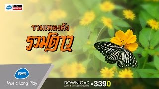 รวมเพลงดัง รวมดาว [Official Music Long Play]