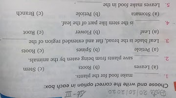 class 3 evs chapter 7 Leaves in our lives  choose the correct option