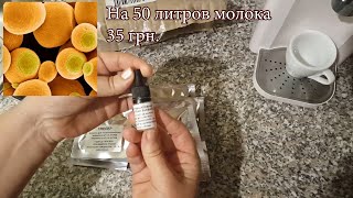 Сыры к Новому году//Пришли закваски//Сажаем чеснок на зиму