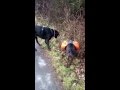 Testspaziergang mit dem Ruffwear Approach Pack (Gr. S)