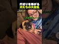 【 爪切りを怖がる犬たちの大反乱 🐶 】