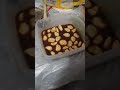 サラミとニンニクをつまみにウイスキー飲むだけ