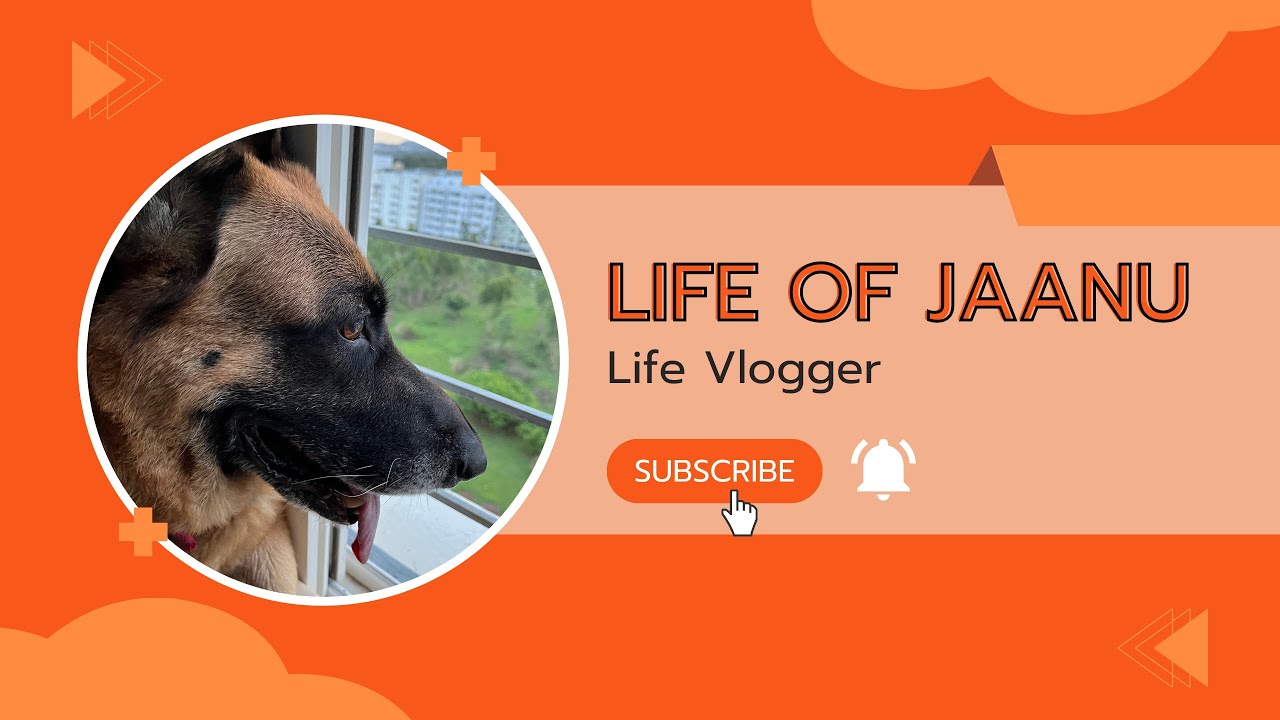 LifeOfJaanu | Daily Vlog