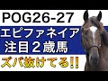 【POG/26−27】エピファネイア産駒の注目２歳馬をリストアップ！【ズバ抜けた素質‼️次シーズン向け】