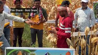 Sheena Seeds MOTI-155 - Hybrid Maize - Mr. Kamalesh Ghosh - Farmer Feedback
