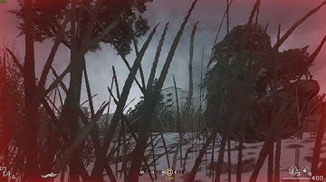 Big bird has some real good pilots (Cod 4)