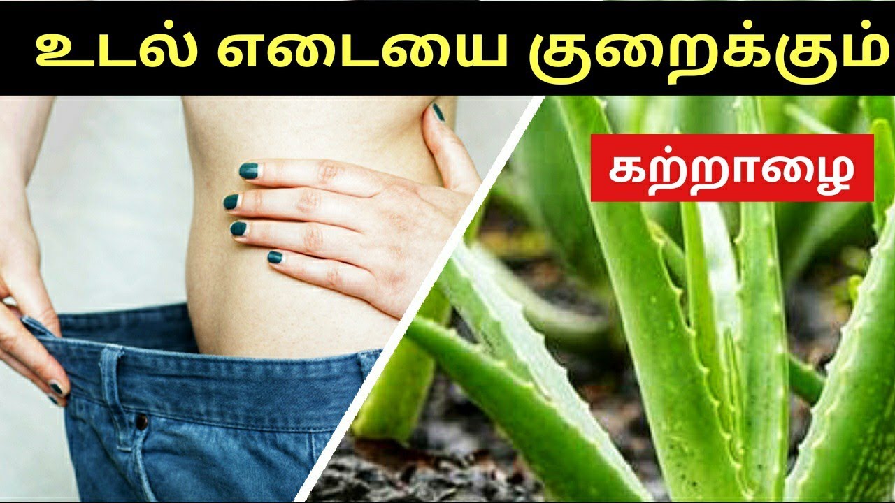 Aloe Vera Medicinal Uses in Tamil katrazhai benefits in tamil
