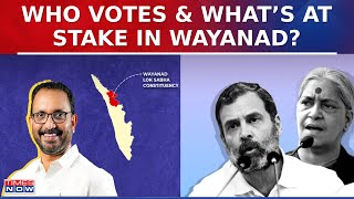 Wayanad Election Coverage On Times Now: Rahul Gandhi's Fate To Be Set In Wayanad High Stakes Battle