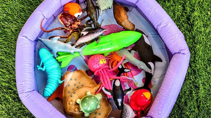 Ocean Animals Discovery for Kids | Learn Sea Creature Names with Toys