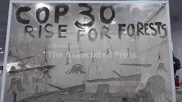 Ashes of the Forest calls for bold action at COP30