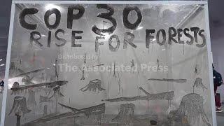 Ashes of the Forest calls for bold action at COP30