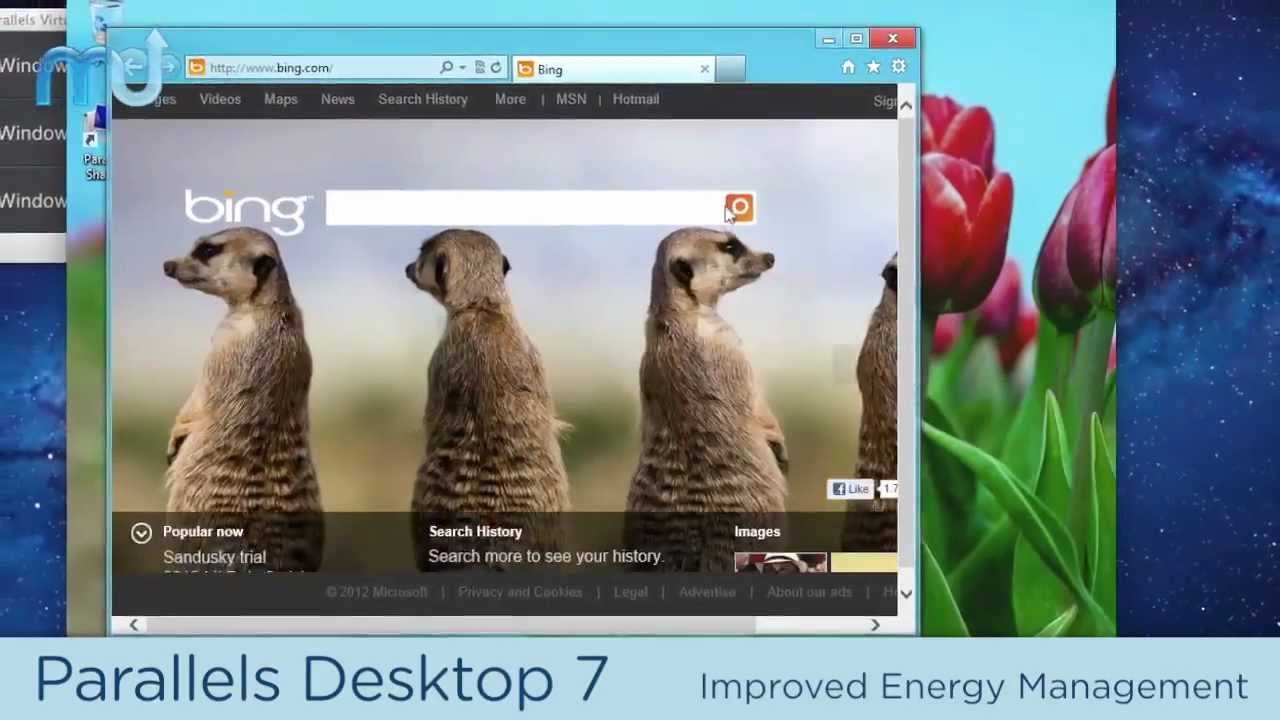 macupdate desktop shown no installed apps macupdate desktop shown no installed apps