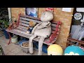 【洗濯】お好み焼き屋さんの大きなぬいぐるみを洗って直してみた【お直し】