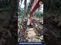 Excavator Special Bucket Machine Innovation for efficient digging trench and agricultural drainage