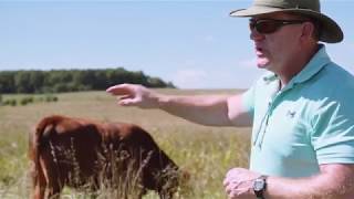 Adaptive Grazing 101: How to Assess Degree of Finish