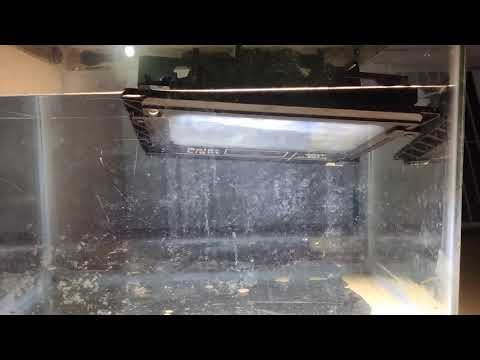 Video Test ngâm nước đèn năng lượng mặt trời 40W JIDIAN 8840L - youtube