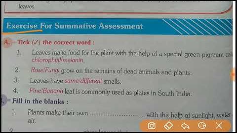 Class-3,EVS, lesson -7 Leaves in our lives, Exercise