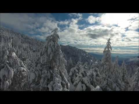 Roya & Rızvan - Bayatılar [Levent Yüksel - Zalim Orj.Vers.] 🇹🇷🇦🇿