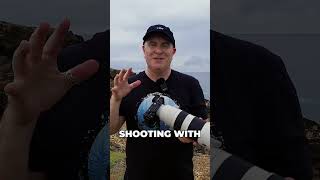 Stop Losing the Bird in Your Viewfinder (Do This Instead)