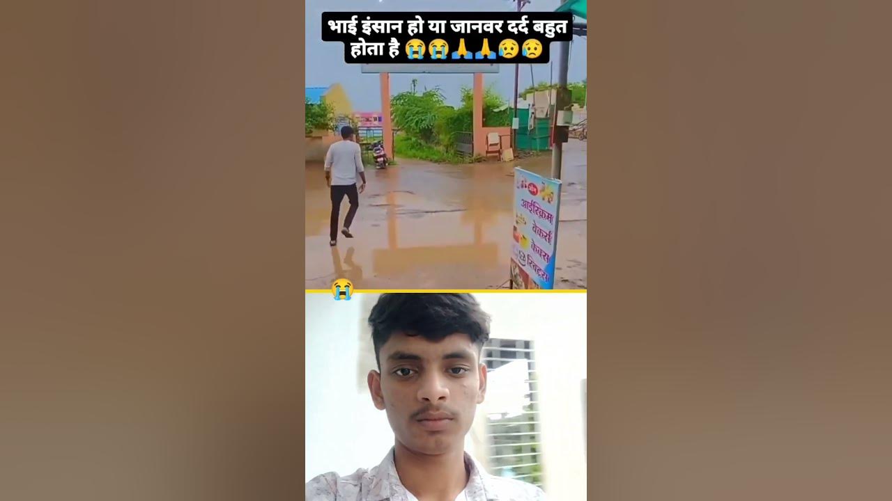 Barish Ke Din Mein Dog Ke Pair Tute The Aap Bhi Masoom Janwar Ki Seva barish-ke-din-mein-dog-ke-pair-tute-the-aap-bhi-masoom-janwar-ki-seva