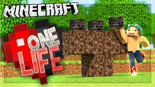 I'M GONNA FIGHT THE WITHER! | One Life SMP #58