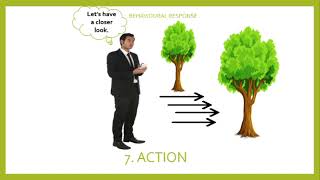 THE PERCEPTUAL PROCESS || VISION SCIENCE|| EYE Q ||#optometry #visionscience #perception