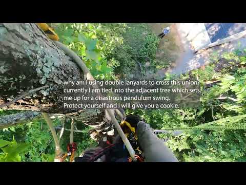 Don’t burn yourself in pursuit of a paycheck #tree #climbing #shorts
