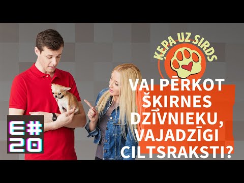 Video: Kāpēc kaķi ir tik traki?