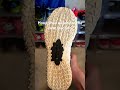 Ja 3 wins best traction  #shoes