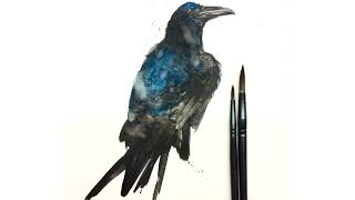 Watercolor Crow Study. SPEED PAINTING