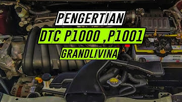 Pengertian Dtc U1000 U1001 Jalur Komunikasi Can Pada Nissan Grandlivina U1001 Nissan Juke